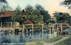 Kingston Hogsmill,river view,children paddling